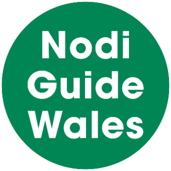 Nodi No-nonsense Guide Wales